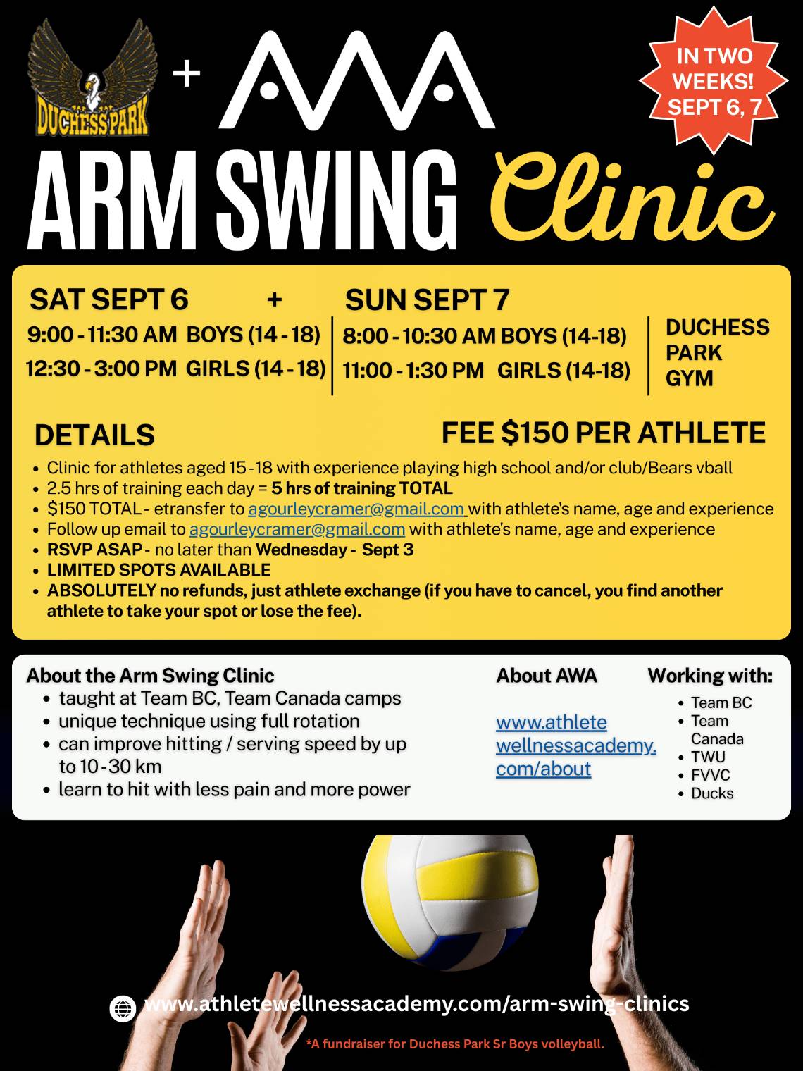 Arm Swing Clinic Sept 6, 7 2025.jpg
